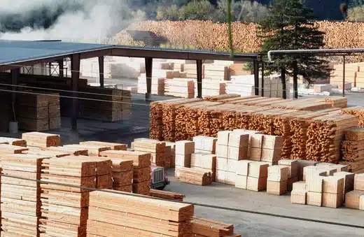 February Building Trends